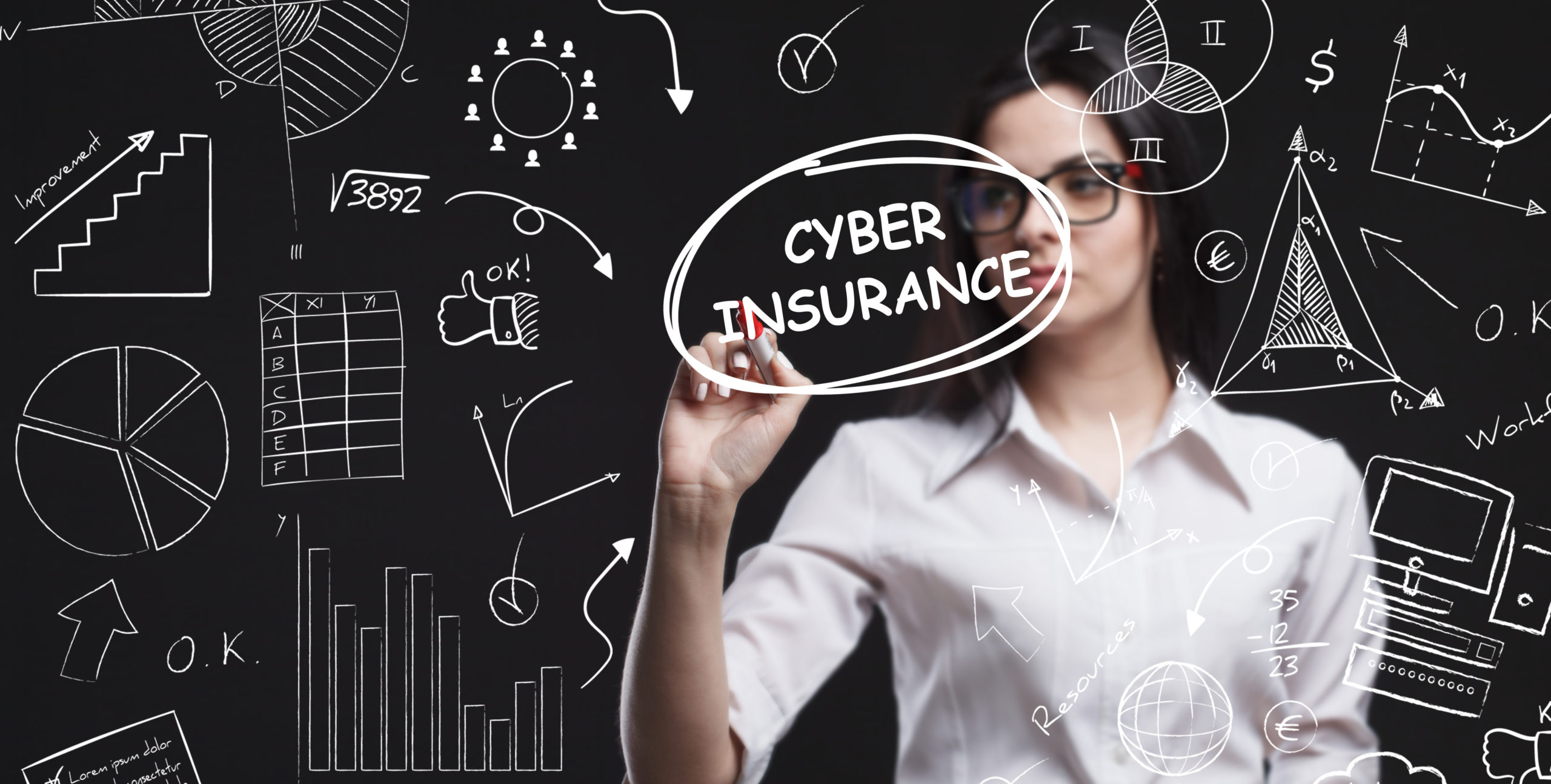 Cyber Insurance for Business Beginners